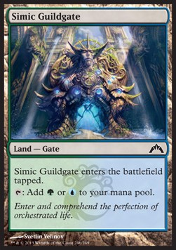 Simic Guildgate - Gatecrash (Common) [GTC-246]