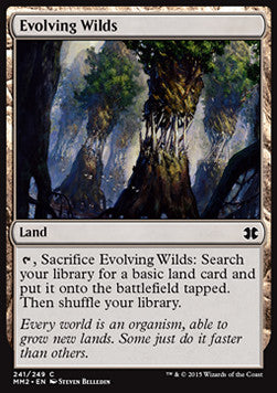 Evolving Wilds - Modern Masters 2015 (Common) [MM2-241]
