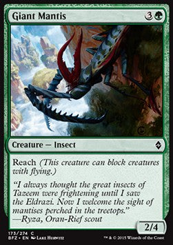 Giant Mantis - Battle for Zendikar (Common) [BFZ-173]