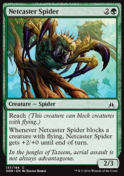 Netcaster Spider - Oath of the Gatewatch (Common) [OGW-137]