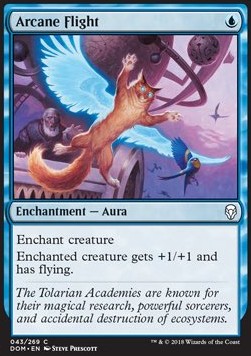 Arcane Flight - Dominaria (Common) [DOM-43]